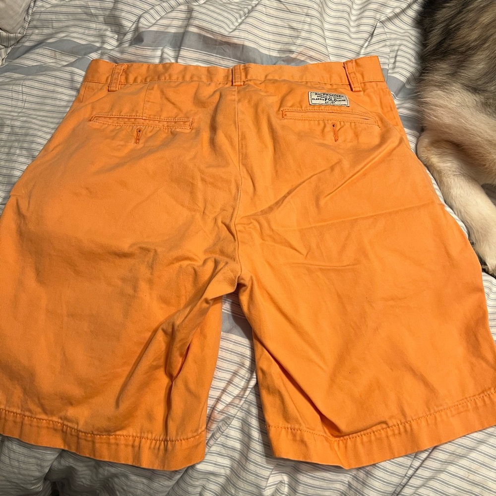 POLO Shorts - Picture 2 of 3